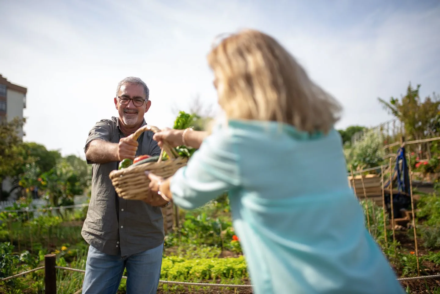 A senior couple sharing a basket of vegetables between garden rows